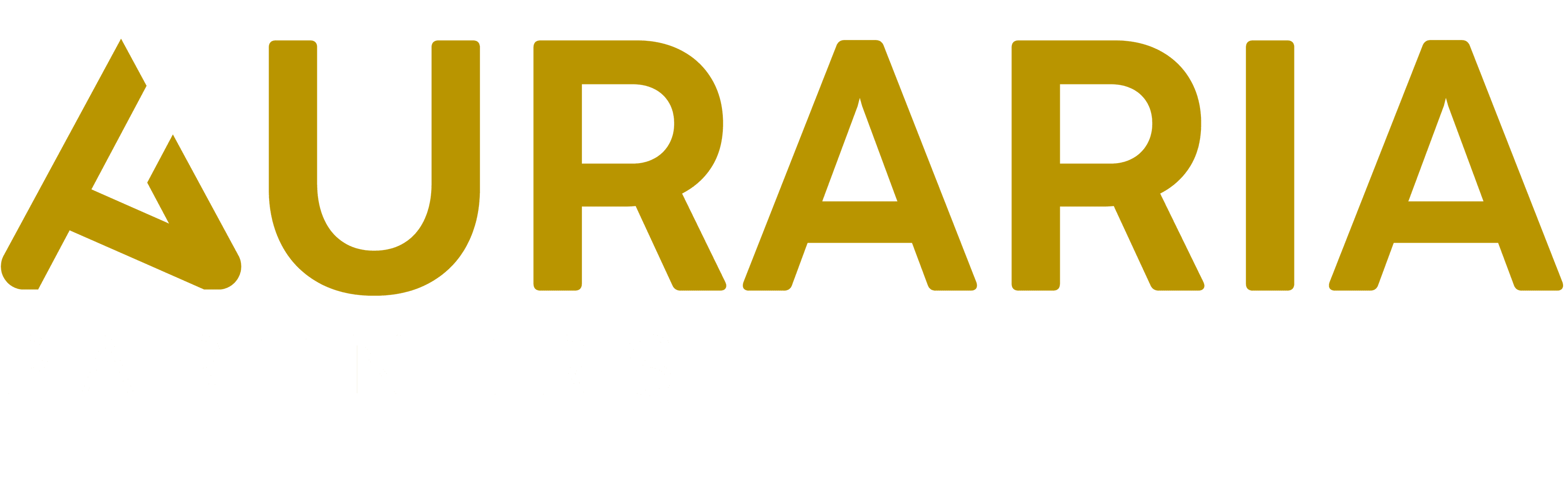 Auraria Partners